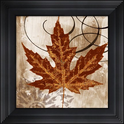 Framed Leaf of the Day II Print