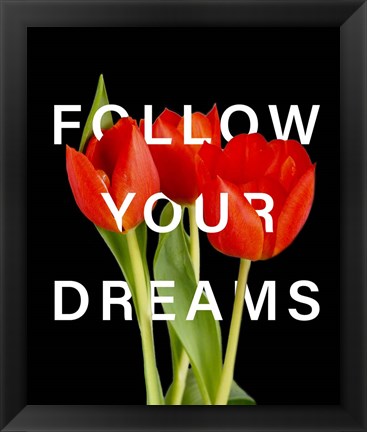 Framed Follow Your Dreams Print