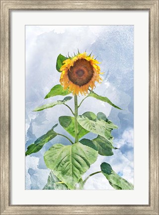 Framed Summer Sunflower Print