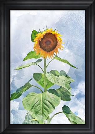 Framed Summer Sunflower Print