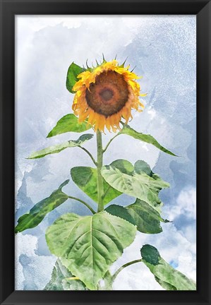 Framed Summer Sunflower Print