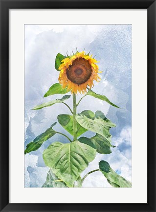 Framed Summer Sunflower Print