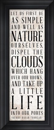 Framed Well as Nature Print