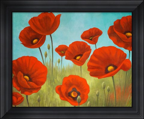 Framed Field of Poppies II Print