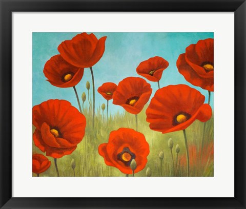 Framed Field of Poppies II Print