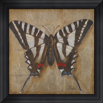 Framed Butterfly I Print