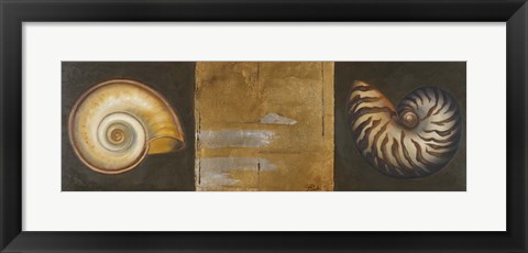 Framed Seashells I Print