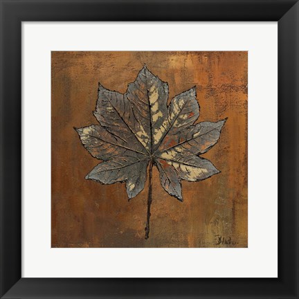 Framed Maple II Print