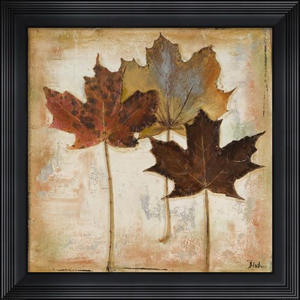 Framed Natural Leaves III Print