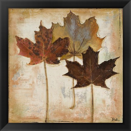 Framed Natural Leaves III Print