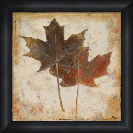 Framed Natural Leaves IV Print