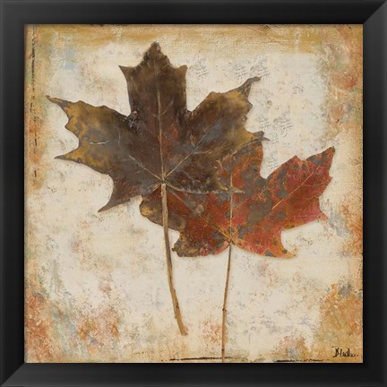 Framed Natural Leaves IV Print