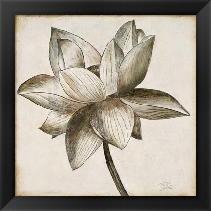 Framed Sepia Lotus I Print
