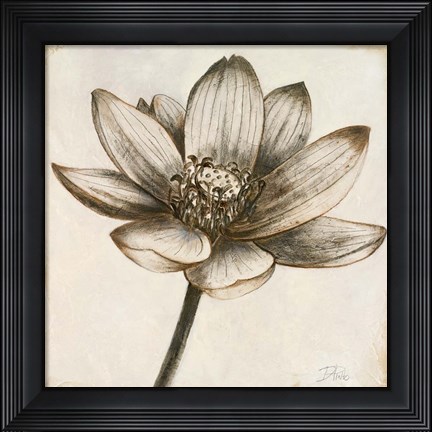 Framed Sepia Lotus II Print