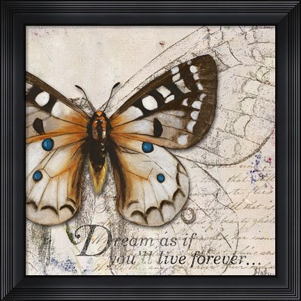 Framed Living your Dreams I Print