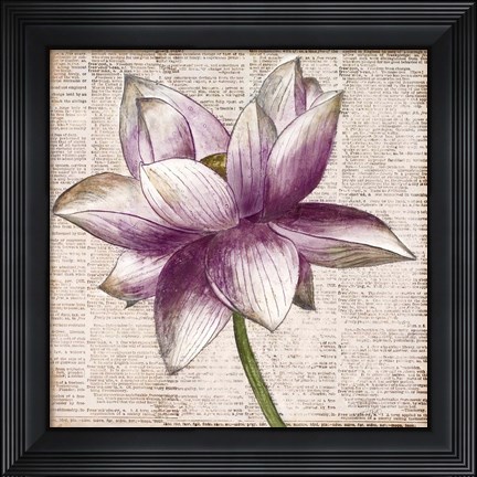 Framed Defined Lotus I Print
