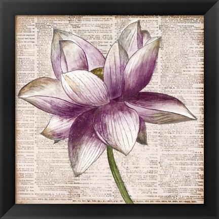 Framed Defined Lotus I Print