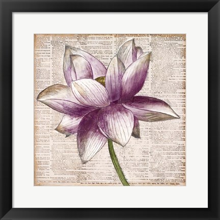 Framed Defined Lotus I Print