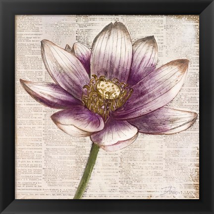 Framed Defined Lotus II Print