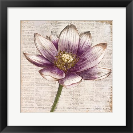 Framed Defined Lotus II Print