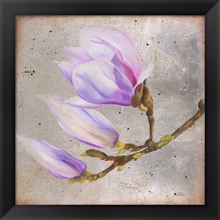 Framed Magnolia on Silver Leaf I Print