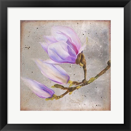 Framed Magnolia on Silver Leaf I Print