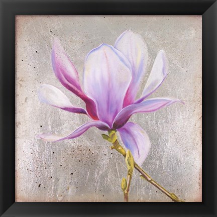 Framed Magnolia on Silver Leaf II Print