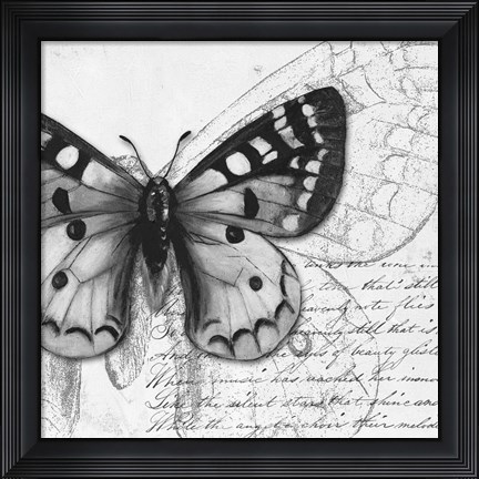 Framed Butterfly Studies I Print