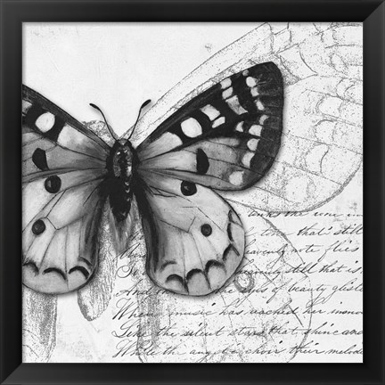 Framed Butterfly Studies I Print