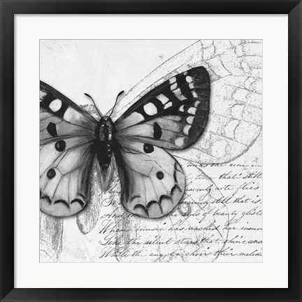 Framed Butterfly Studies I Print