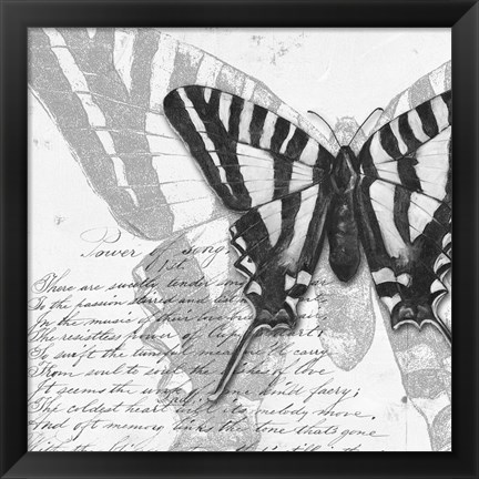 Framed Butterflies Studies II Print