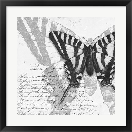 Framed Butterflies Studies II Print