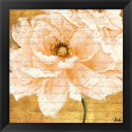 Framed Beautiful Cream Peonies Script I Print