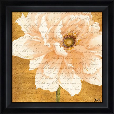 Framed Beautiful Cream Peonies Script II Print