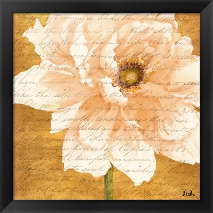Framed Beautiful Cream Peonies Script II Print