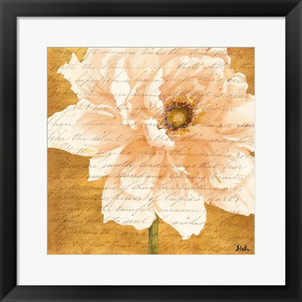 Framed Beautiful Cream Peonies Script II Print