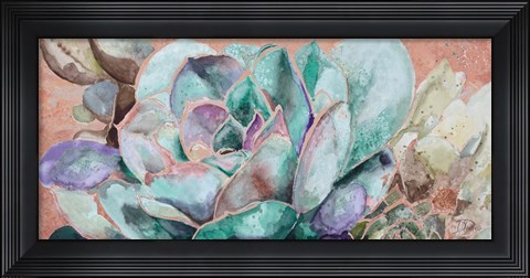 Framed Desert Flower on Terra Cotta Print