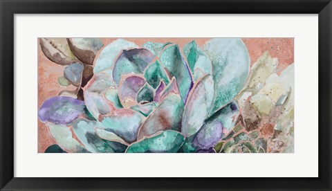 Framed Desert Flower on Terra Cotta Print