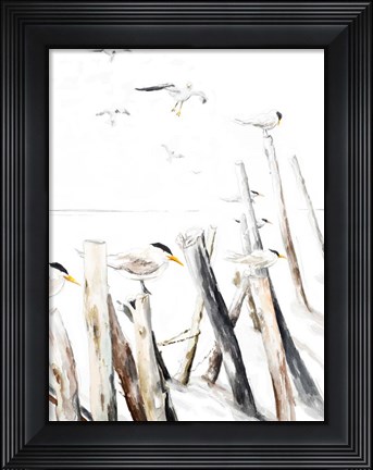 Framed Gull Point Print