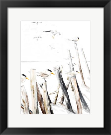Framed Gull Point Print