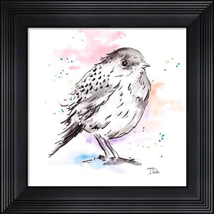 Framed Bird Sketch III Print