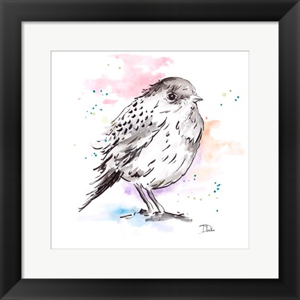 Framed Bird Sketch III Print