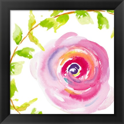 Framed Delicate Rose I Print