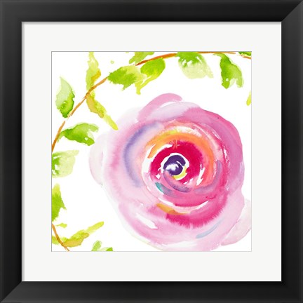 Framed Delicate Rose I Print