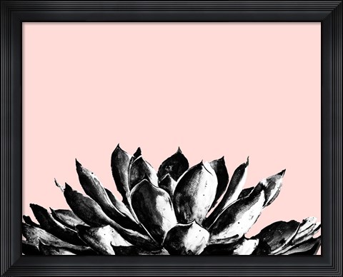 Framed Agave on Blush Print