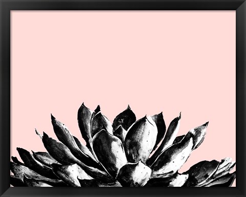 Framed Agave on Blush Print