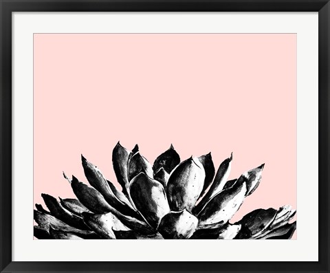 Framed Agave on Blush Print