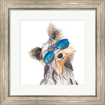 Framed Yorkie with Shades Print