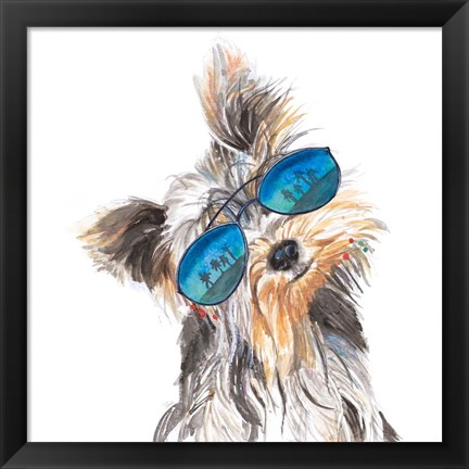 Framed Yorkie with Shades Print