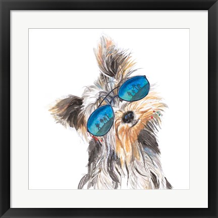 Framed Yorkie with Shades Print